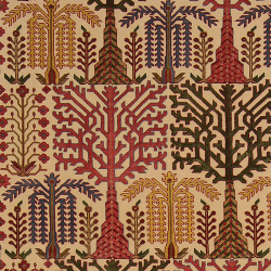 Bid-e-Majnoun-Willow