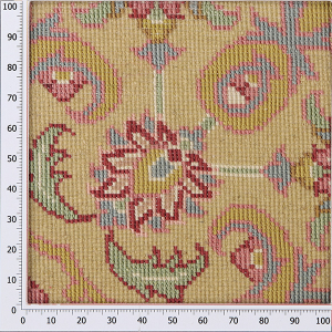 Bid-e-Majnoun-Willow